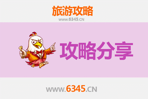 鞍山铁西旅游攻略：跟团游与自由行深度对比